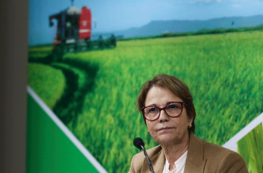  Ministra Tereza Cristina presidirá Junta Interamericana de Agricultura
