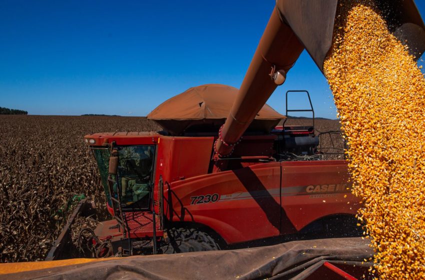  Governo Federal vai anunciar redução do PIS e Cofins para importação do milho, diz FPA