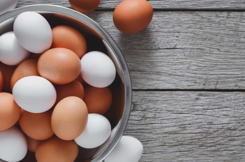  Ovos: exportação semanal de ovos e ovoprodutos
