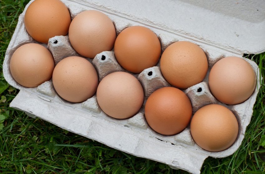  Ovos: evolução de preços em setembro foi superior à média histórica
