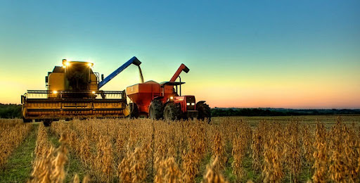  Brasil lidera produtividade agropecuária entre 187 países