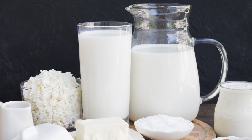  Cadeia do leite aposta em lácteos sem lactose para conquistar mercado