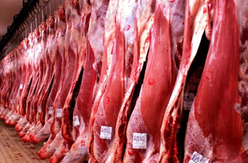  Exportações de carne caíram 43% em outubro