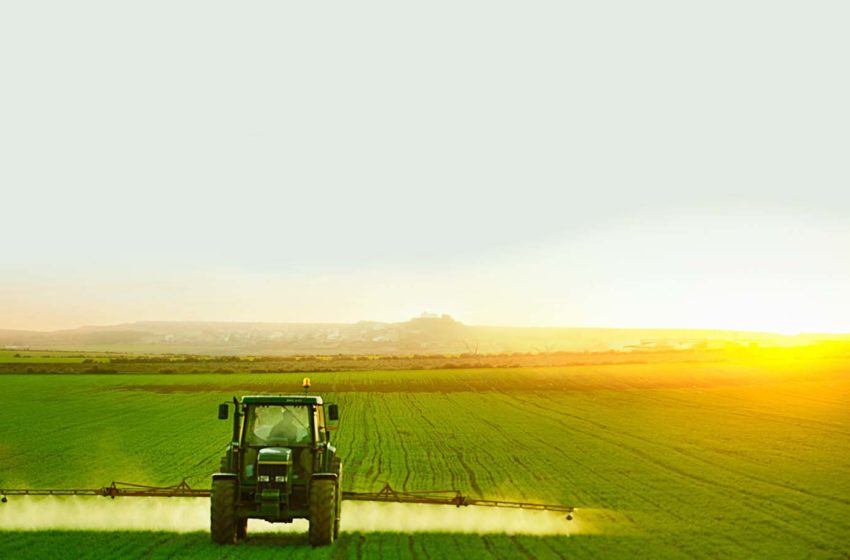  Bolsonaro diz que governo está “se virando atrás de fertilizantes” para evitar desabastecimento