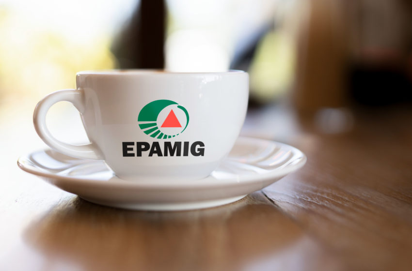  Epamig vai fornecer café para a Assembleia Legislativa de Minas Gerais