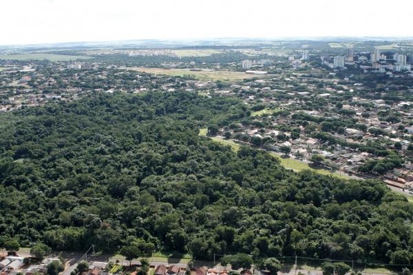  Lei dispõe como aplicar as regras do Código Florestal nas áreas urbanas das cidades