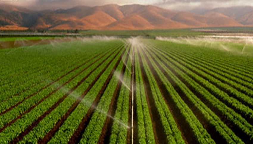  Deputado José Mário acredita que Brasil possa triplicar a produção com o desenvolvimento da agricultura irrigada